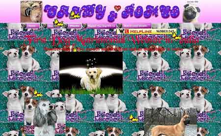 ûֻи ̵ȫվ